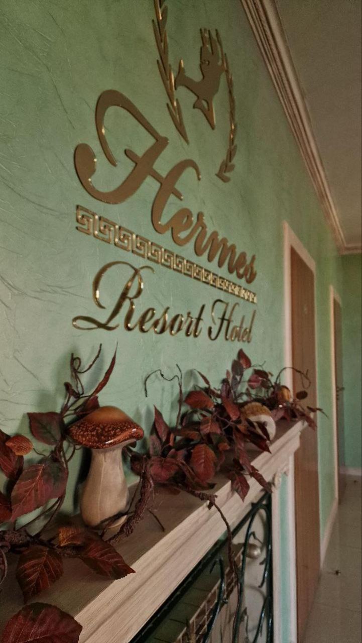 Hermes Resort Hotel With Medical Treatment Truskavets Buitenkant foto